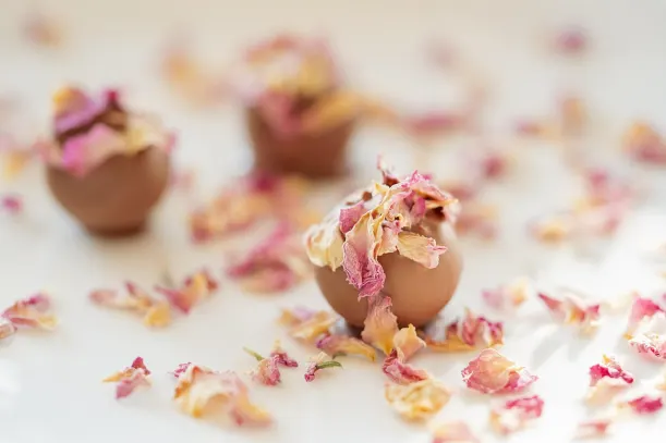 LottoKings Casino Android/iOS rakendus